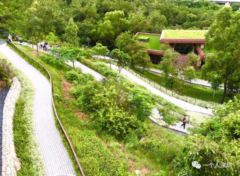 西麗生態公園_騰訊新聞