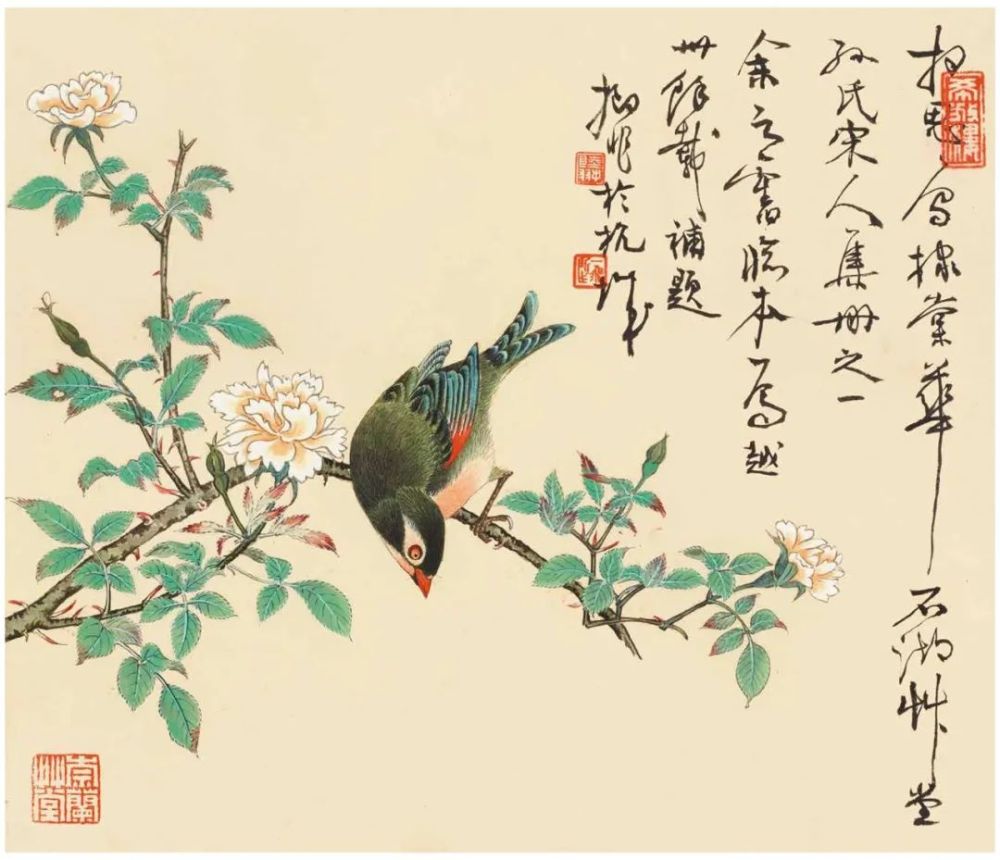 中国美术学院|陆抑非先生课徒稿：奠定中国美术学院花鸟教学体系的核心基石