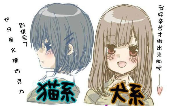 猫系 vs 犬系谁更受欢迎?