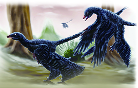 恐龙|恐龙的羽毛不是用来飞行，而是用来求偶的？