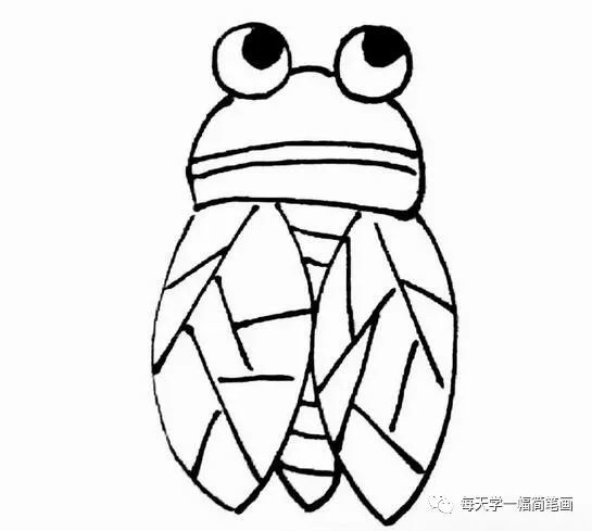 每天学一幅简笔画夏天的知了简笔画教程
