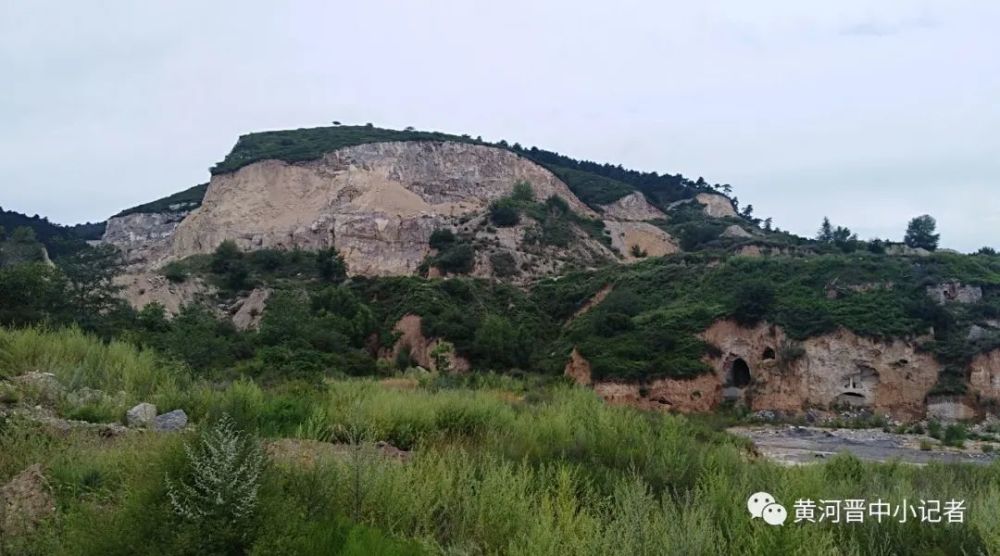 罕山林场植被丰富不时有野生动物出没