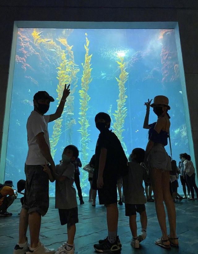 林志颖|林志颖晒4岁双胞胎儿子沙滩初体验，轻松抱起双子星爸爸力max