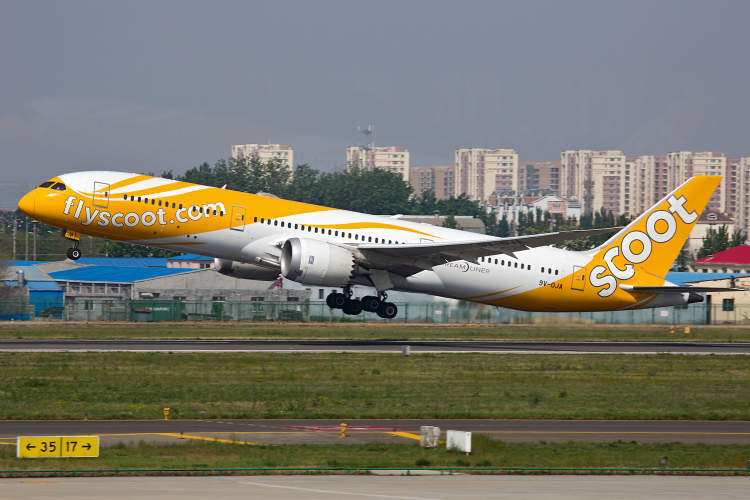 新加坡的酷航(scoot),属于新加坡航空集团,8月19日将恢复其第三条中国