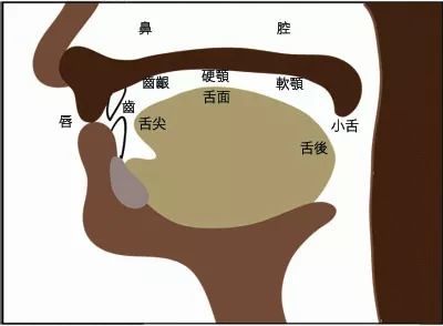 平翘舌不分光着急没用还是得注意方法