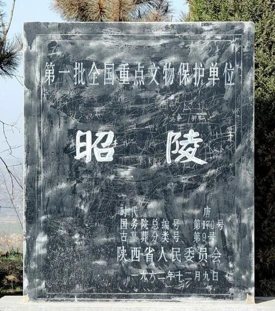 说昭陵陪葬墓代表了前期唐陵以功臣密戚陪葬的特点,那么乾陵陪葬墓中