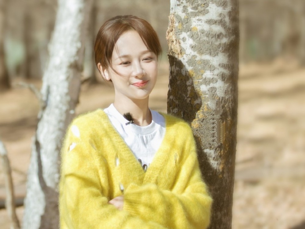 光点|《光点》再传喜讯！肖战杨紫的新剧啥时候播？平台还没改首播时间