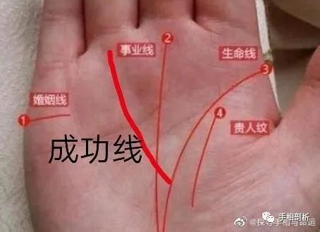 手掌中命运线与太阳线相的人 腾讯新闻