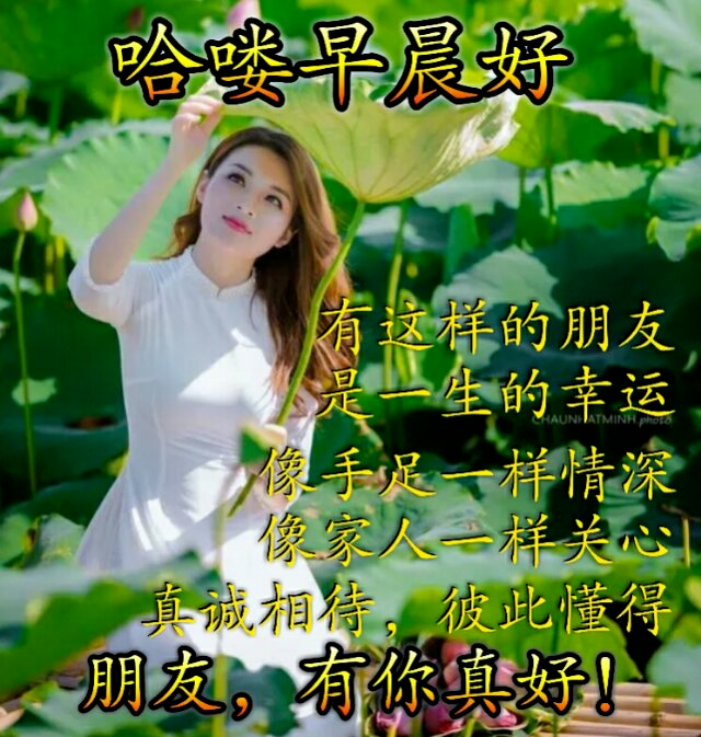 特别温馨的早安心语问候图片清晨最美的早安祝福图片