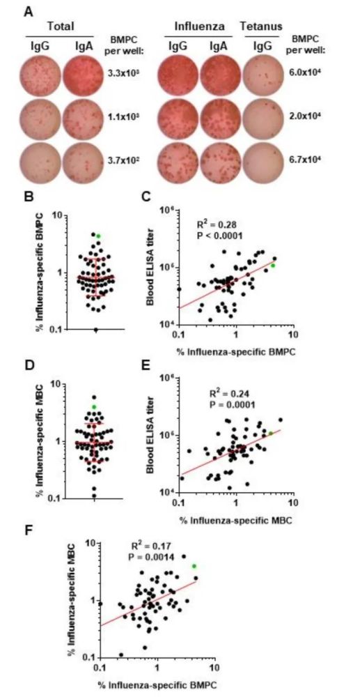 流行性感冒|每年都要打，为何流感疫苗不持久？
