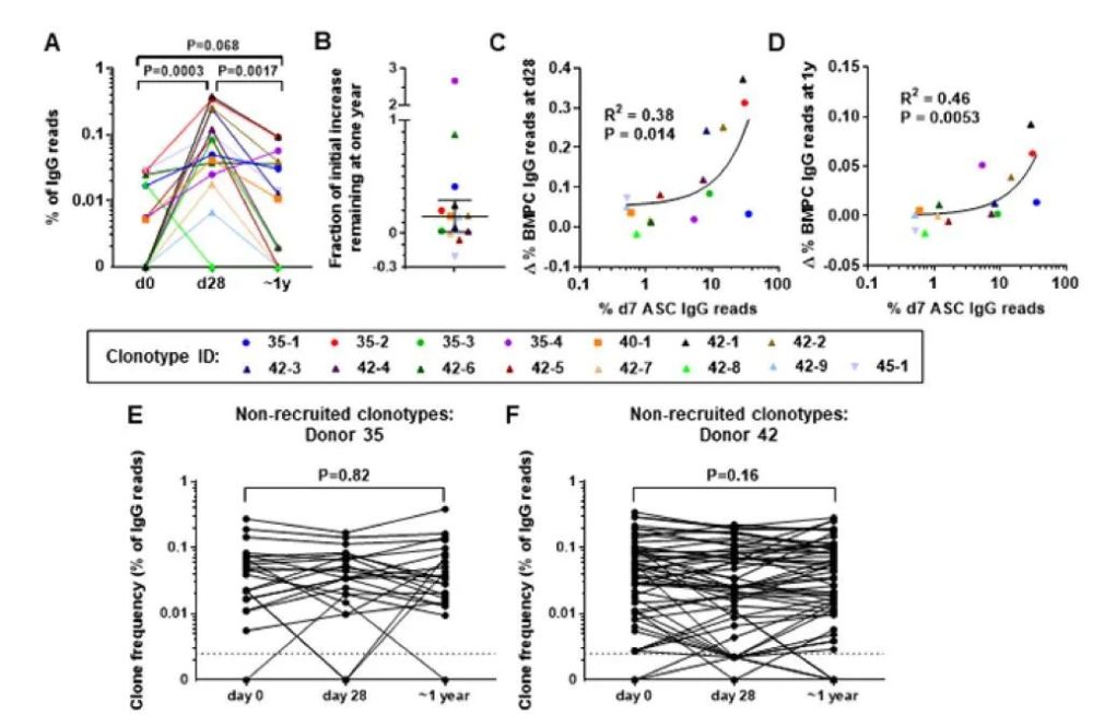流行性感冒|每年都要打，为何流感疫苗不持久？