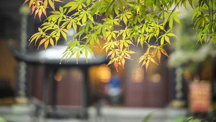 余儒文|你以为的“佛系”工作，一天四次打卡