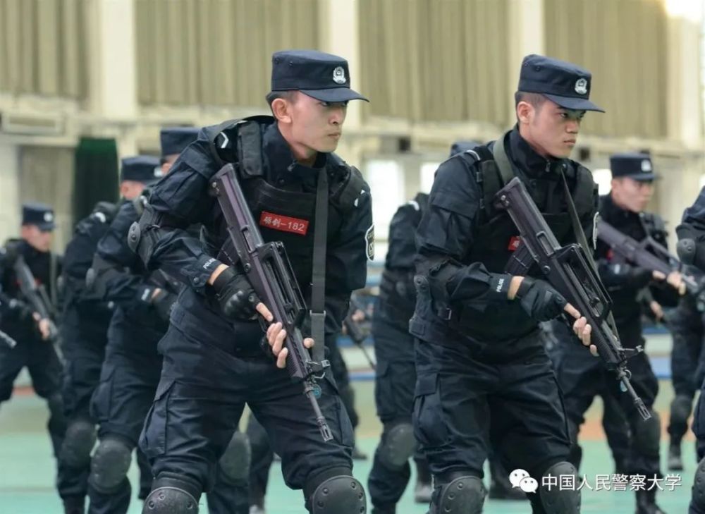 警大研究生招生学科导航