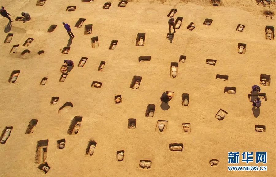 考古|郛堤城遗址113座瓮棺葬