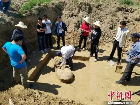 考古|郛堤城遗址113座瓮棺葬