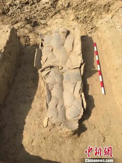 考古|郛堤城遗址113座瓮棺葬