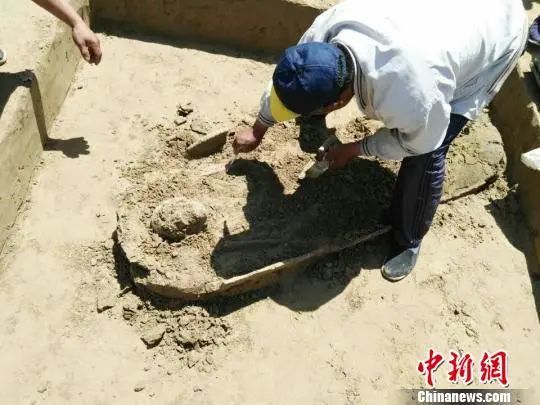 考古|郛堤城遗址113座瓮棺葬