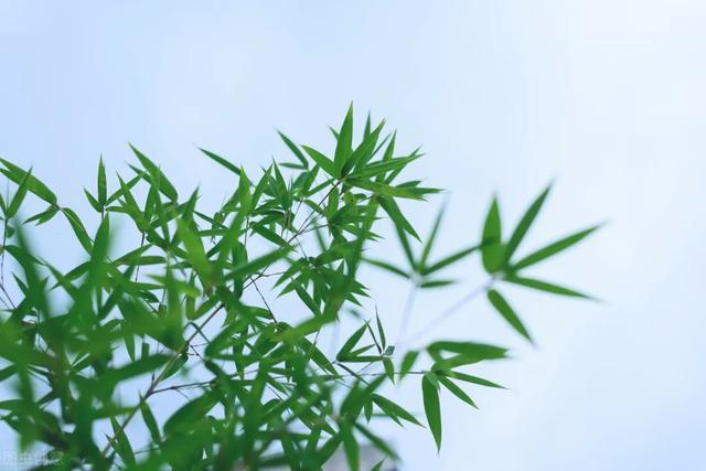 刘彩霞|吉林·刘彩霞诗词精选