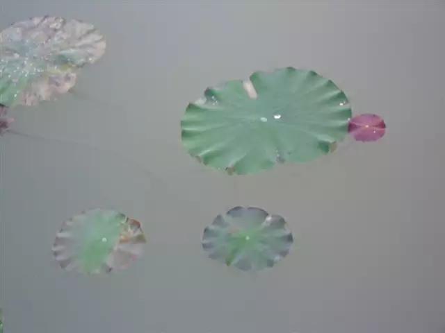 刘莲芳|湖北武汉·刘莲芳诗词精选