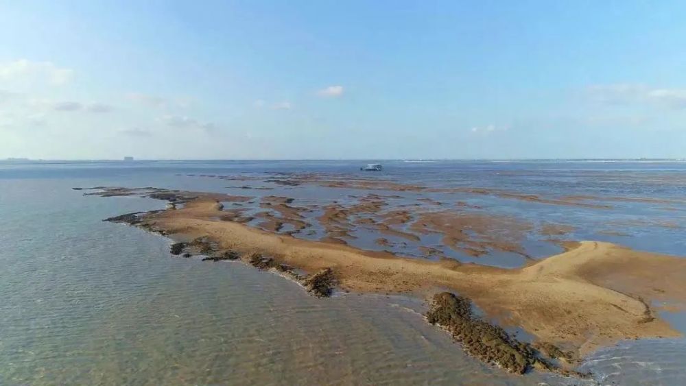 古琴|海门：江海交汇 山歌甜美号子嘹亮；勇立潮头 沈绣灵动古琴悠扬