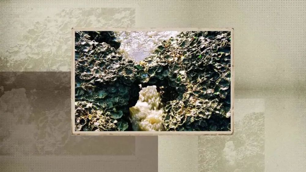 古琴|海门：江海交汇 山歌甜美号子嘹亮；勇立潮头 沈绣灵动古琴悠扬