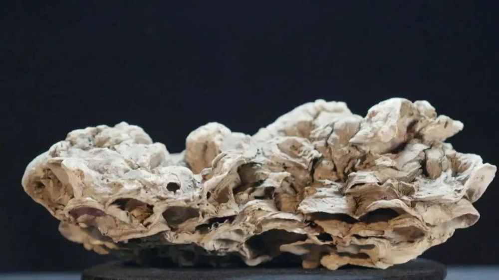 古琴|海门：江海交汇 山歌甜美号子嘹亮；勇立潮头 沈绣灵动古琴悠扬