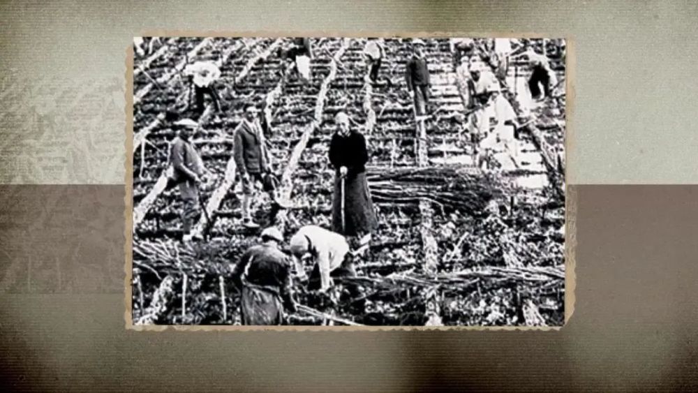 古琴|海门：江海交汇 山歌甜美号子嘹亮；勇立潮头 沈绣灵动古琴悠扬