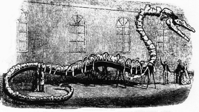 恐龙|一大波古前生物来袭，我们曾经以为恐龙长这样！