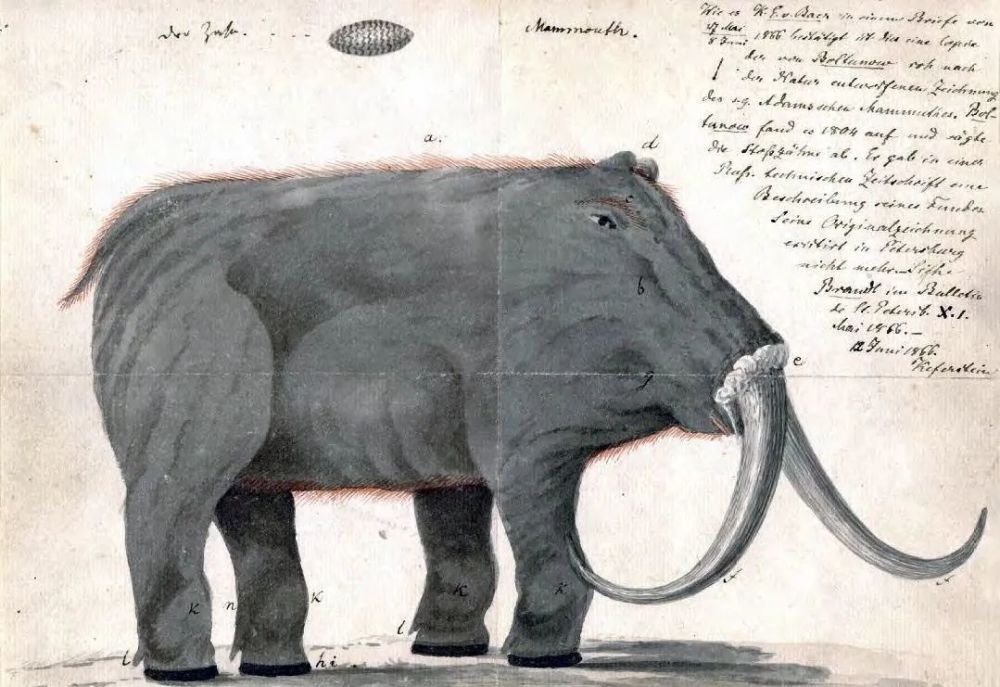 恐龙|一大波古前生物来袭，我们曾经以为恐龙长这样！