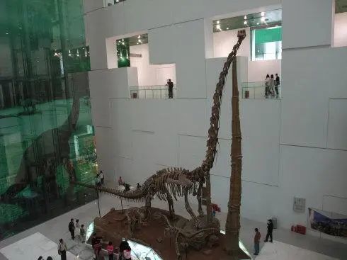 恐龙|一大波古前生物来袭，我们曾经以为恐龙长这样！