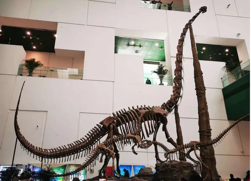 恐龙|一大波古前生物来袭，我们曾经以为恐龙长这样！