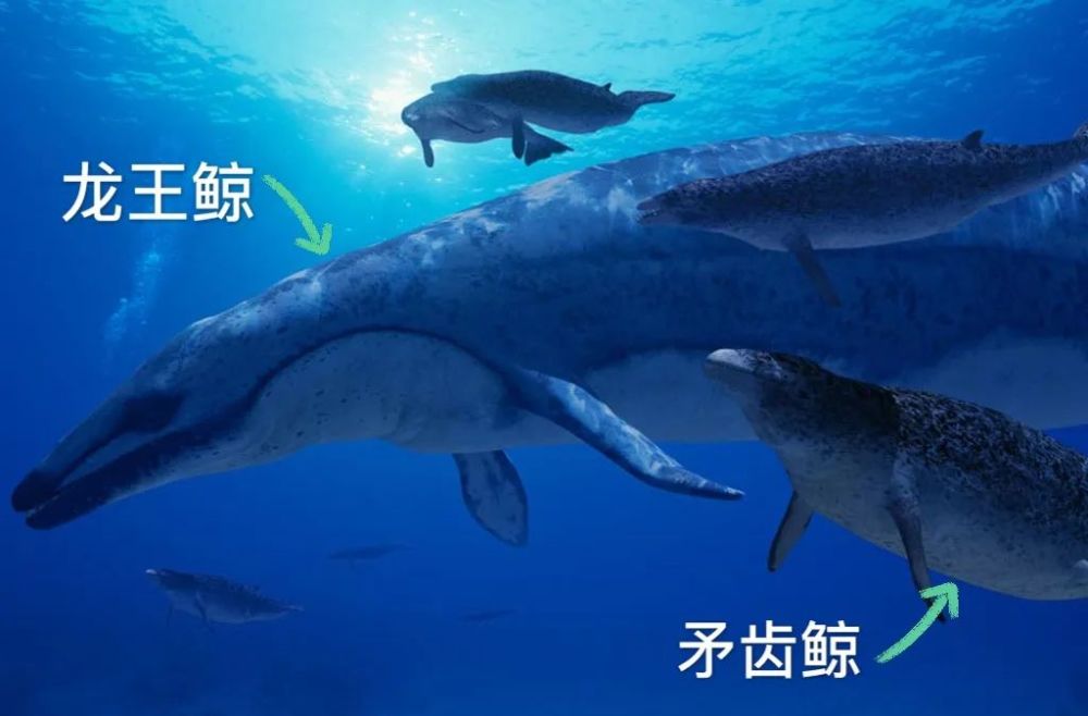 恐龙|一大波古前生物来袭，我们曾经以为恐龙长这样！