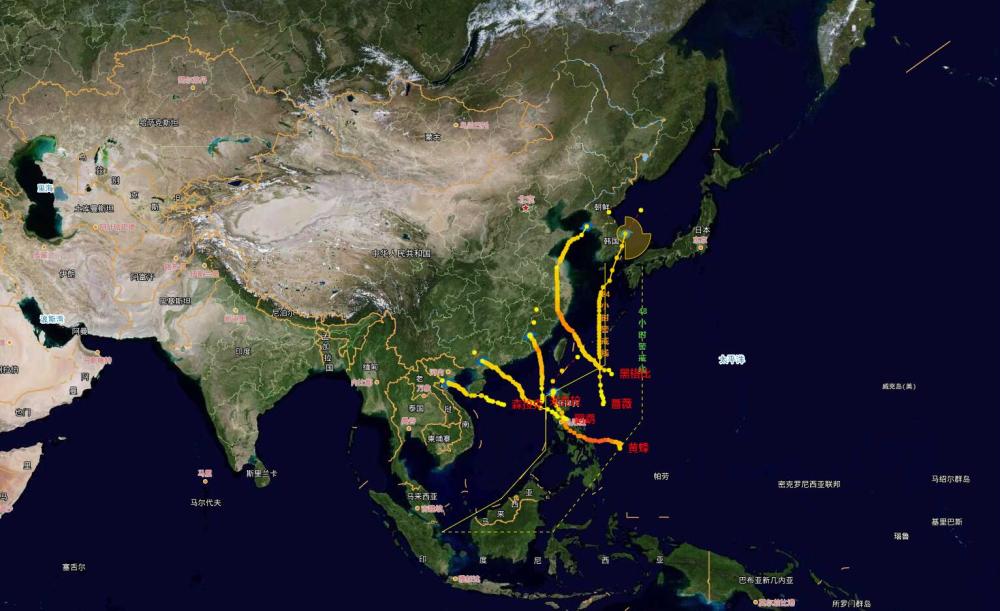 拉尼娜|2020年“拉尼娜”又要来了？7号台风或19日生成，可能直奔广东