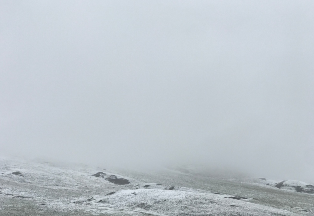 白茫茫一片今天青海这里下雪了