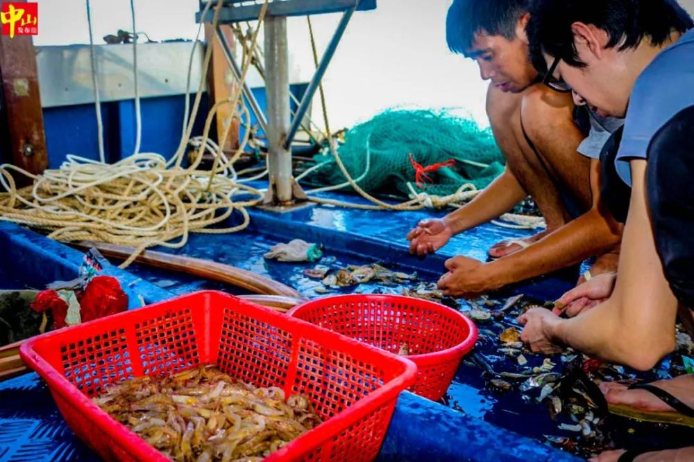 浩瀚藍海,肥美海鮮 饞了整整三個多月 嗜