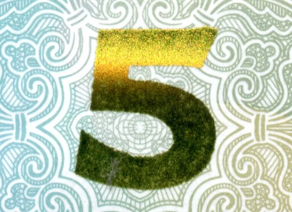 纸币|2020年版5元纸币即将发行，防伪特征鉴别攻略在此