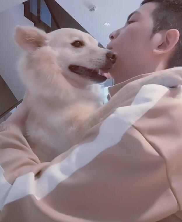 狗狗|萧敬腾豪宅内抱狗玩耍，与狗狗拥抱嘴对嘴接吻太亲密引热议