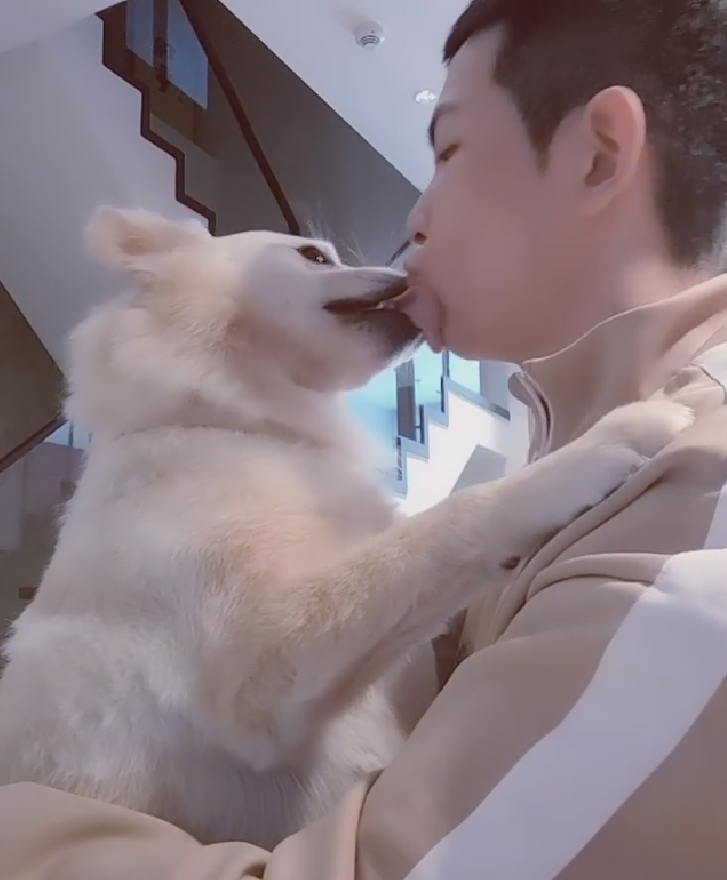 狗狗|萧敬腾豪宅内抱狗玩耍，与狗狗拥抱嘴对嘴接吻太亲密引热议