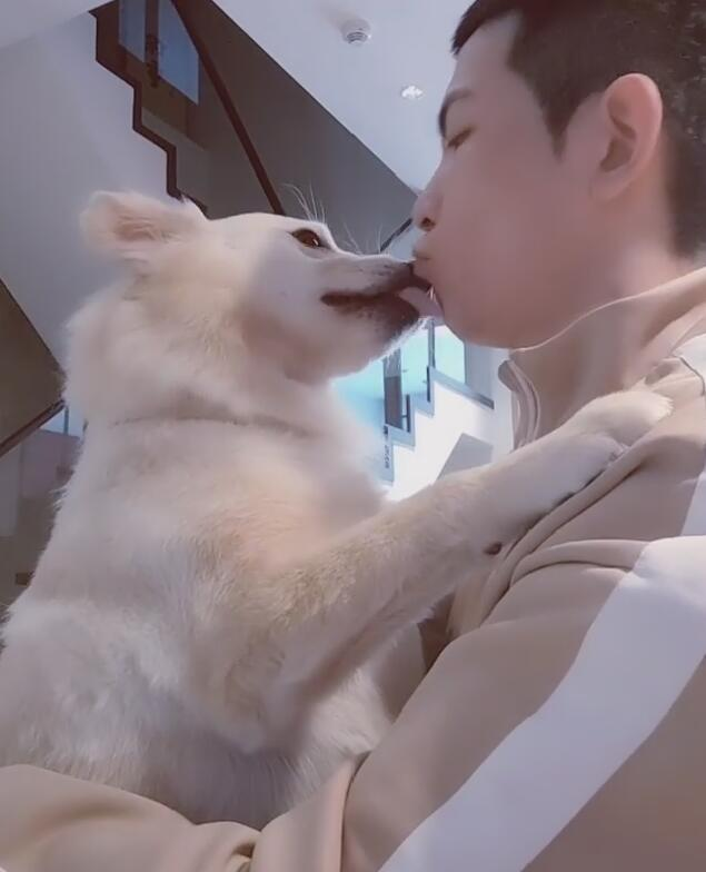 狗狗|萧敬腾豪宅内抱狗玩耍，与狗狗拥抱嘴对嘴接吻太亲密引热议