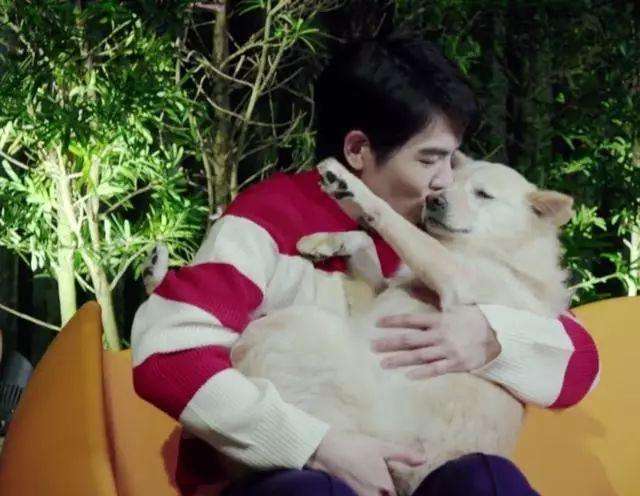 狗狗|萧敬腾豪宅内抱狗玩耍，与狗狗拥抱嘴对嘴接吻太亲密引热议