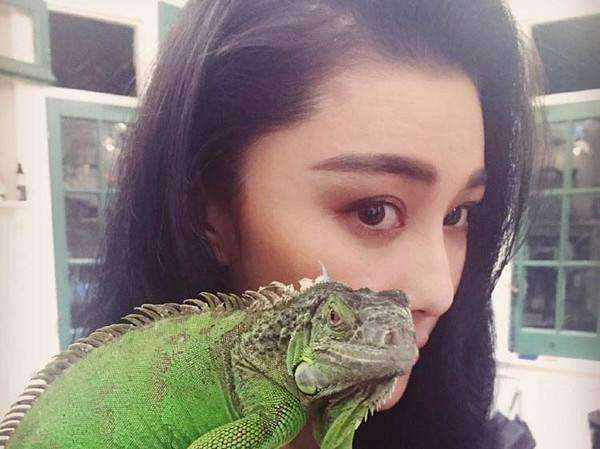 狗狗|萧敬腾豪宅内抱狗玩耍，与狗狗拥抱嘴对嘴接吻太亲密引热议