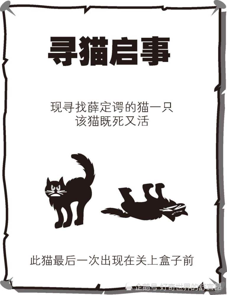 量子力学|薛定谔的猫：科学界最出名的猫，凭一猫之力解释量子力学！