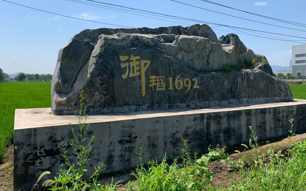 康熙御制耕织图|如今依靠高度现代化机械作业 京西稻还是那个味儿吗？