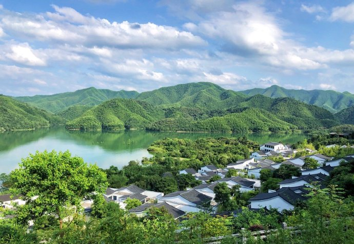 安吉阿丽拉茶园竹林簇拥的小别墅静谧山间风景土豪都喜欢