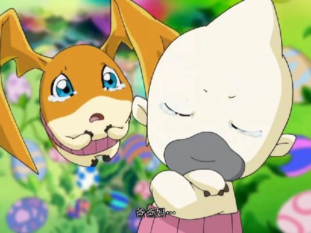 数码宝贝:是否有性别之分?大型打脸官方现场