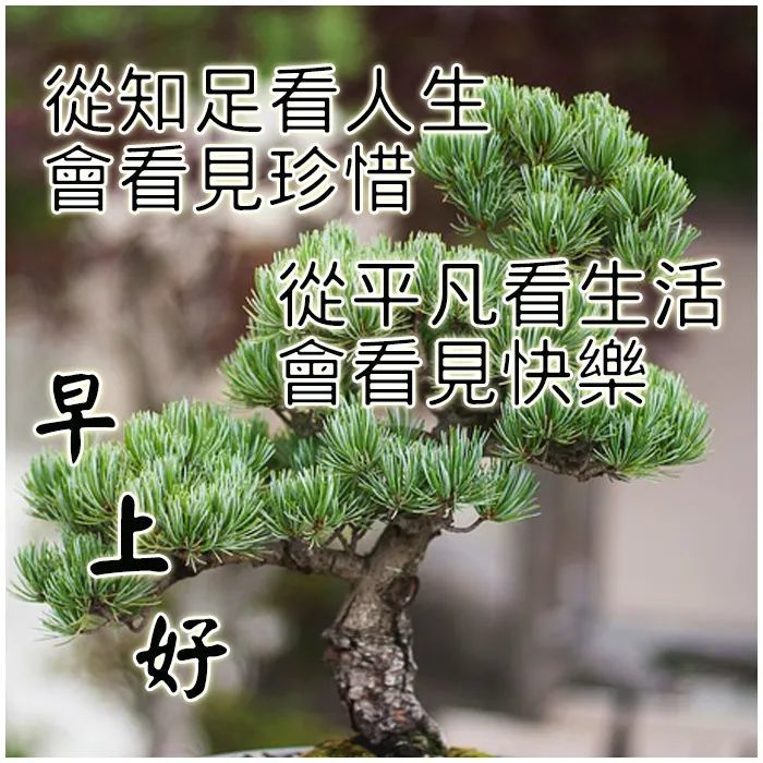 早上好祝福語溫馨句子早上好圖片大全帶字