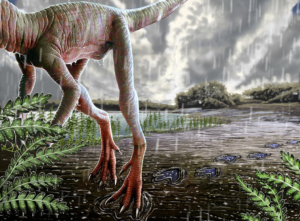 地球|2.3亿年前，下了200万年暴雨，形成原因或再次出现