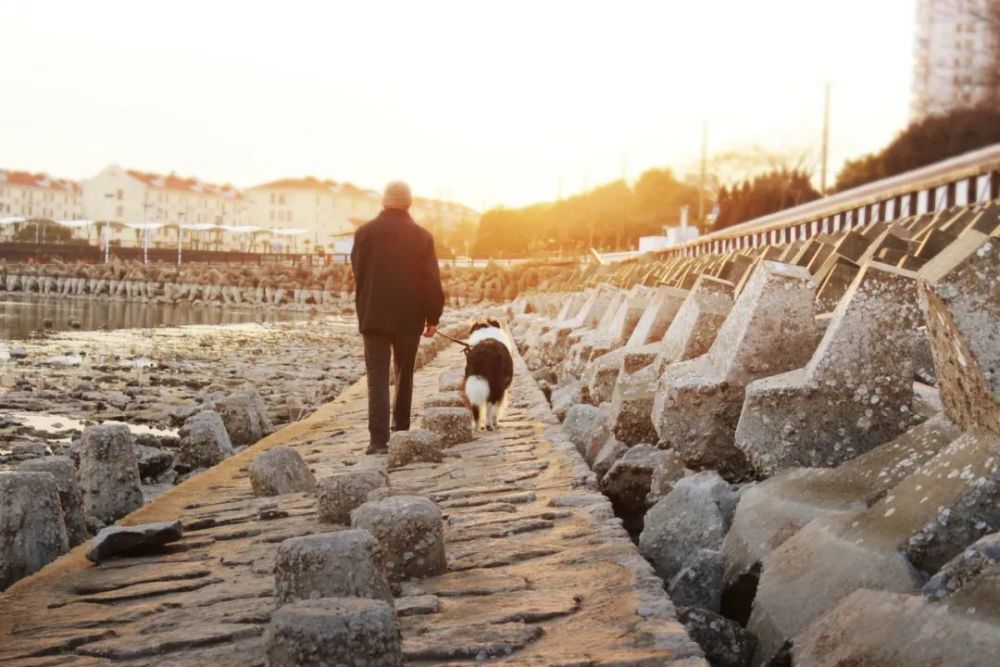 子若|原来人老了，也要富养