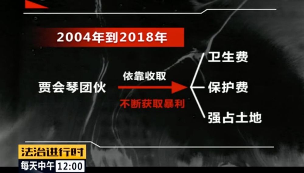 贾会琴|北京朝阳58岁“女村霸” 欺行霸市14年获刑 曾自诩“大善人”