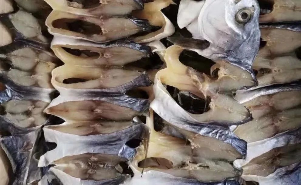 硇洲渔港△硇洲岛海产资源极为丰富,盛产闻名天下的硇洲鲍鱼,龙虾